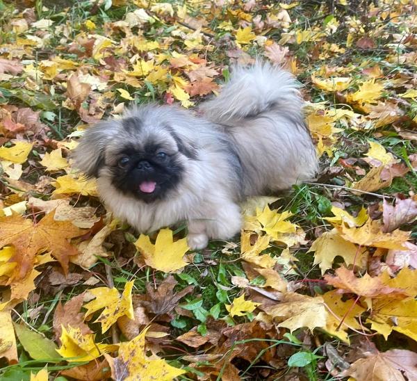 Прикрепленное изображение: IMG-20241013-WA0008.jpg